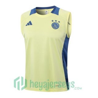 Soccer Vest AFC Ajax Yellow 2024/2025