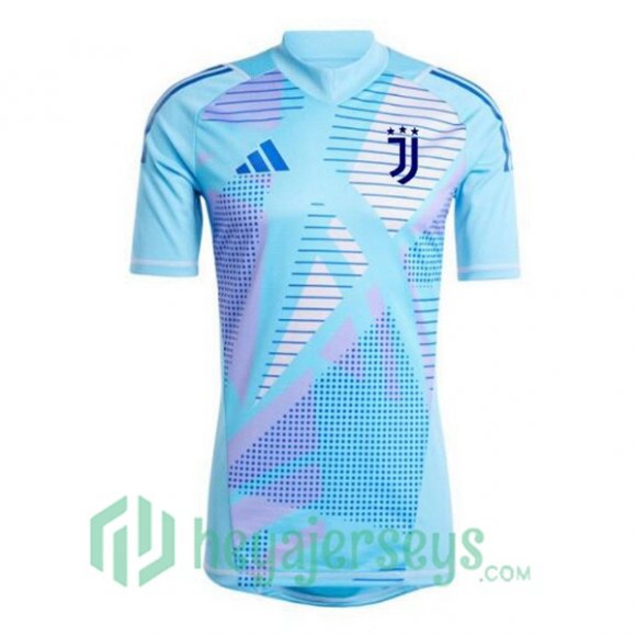 Juventus Goalkeeper Soccer Jerseys Blue 2024/2025