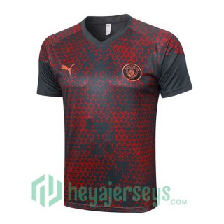 Manchester City Training T-Shirts Red Gray 2023/2024