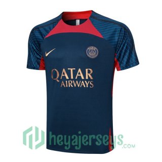 Paris Saint Germain Training T-Shirts Blue Royal 2023/2024