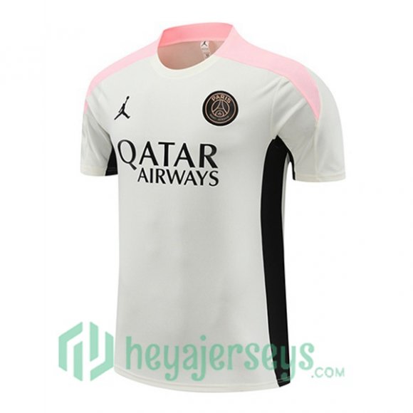 Paris Saint Germain Training T-Shirts Gray 2024/2025