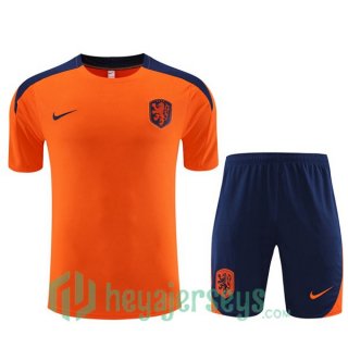 Netherlands Training T-Shirts + Shorts Orange 2023/2024
