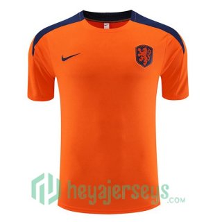 Netherlands Training T-Shirts Orange 2023/2024