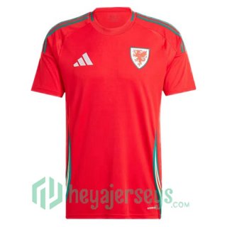 Wales Soccer Jerseys Home Red 2024/2025