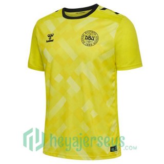 Denmark Soccer Jerseys Goalkeeper Yellow UEFA Euro 2024