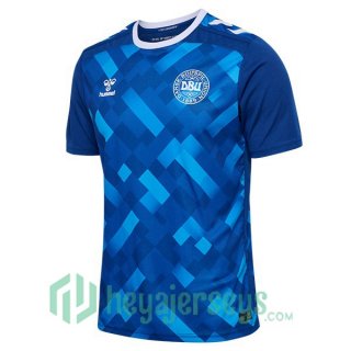 Denmark Soccer Jerseys Goalkeeper Blue 2024/2025