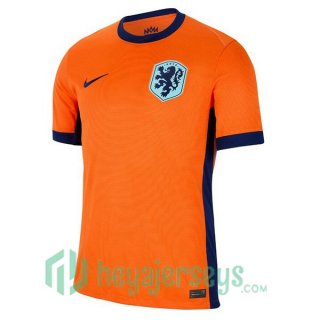 Netherlands Home Soccer Jerseys Orange 2024/2025