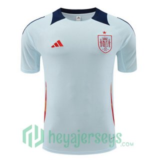 Spain Training T-Shirts Blue 2024/2025