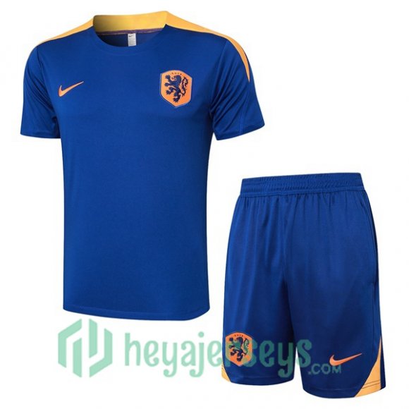 Netherlands Training T-Shirts + Shorts Blue Royal 2024/2025