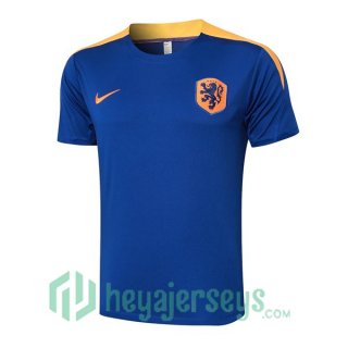 Netherlands Training T-Shirts Blue Royal 2024/2025