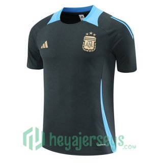Argentina Training T-Shirts Gray 2024-2025