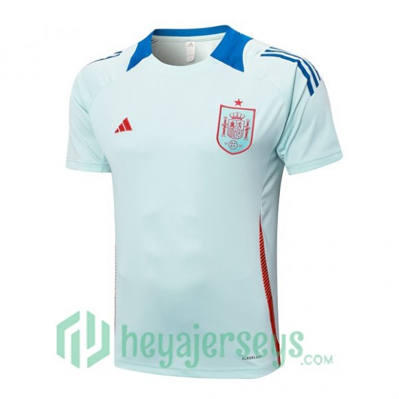 Spain Training T-Shirts Blue 2024-2025