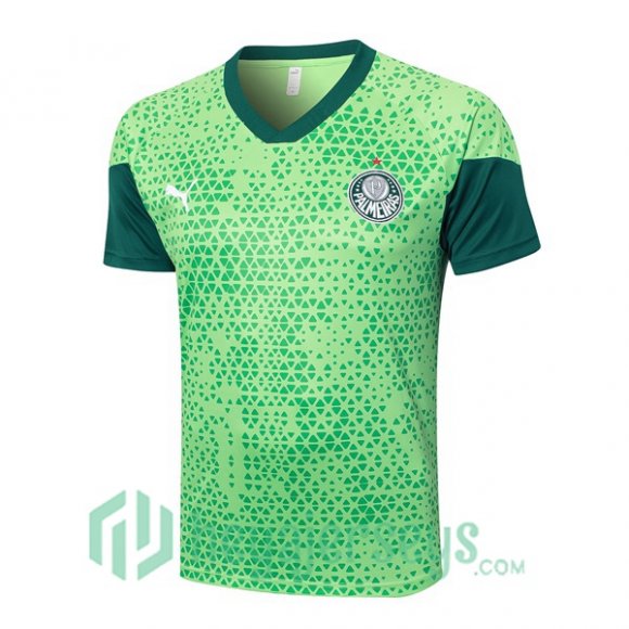 Palmeiras Training T-Shirts Green 2024-2025