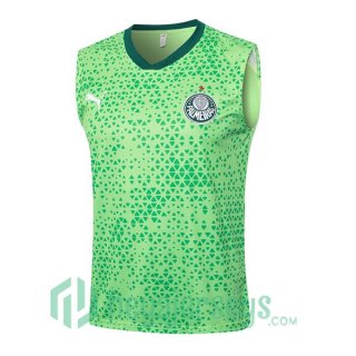 Soccer Vest Palmeiras Green 2024-2025
