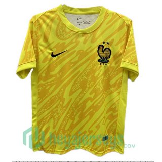 France Goalkeeper Soccer Jerseys Yellow 2024-2025