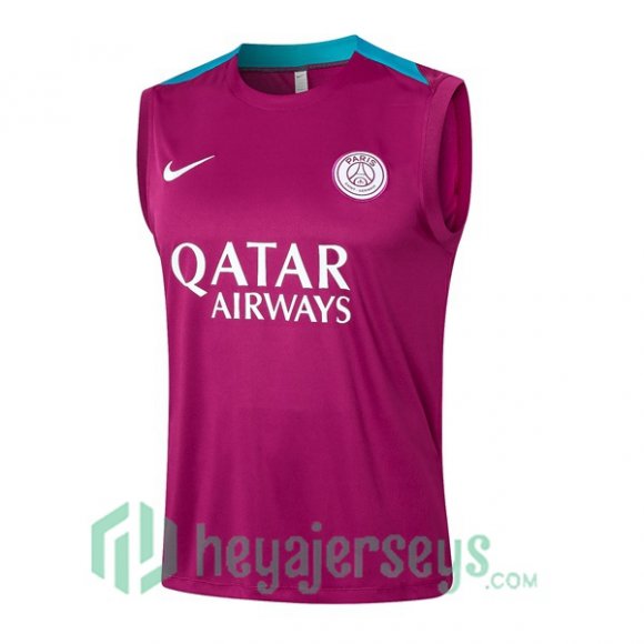 Soccer Vest Paris Saint Germain Purple 2024-2025