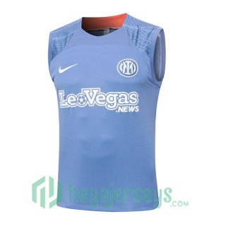 Soccer Vest Inter Milan Gray 2024-2025