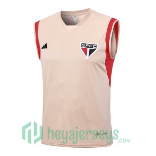 Sao Paulo FC Soccer Vest Rose 2023/2024
