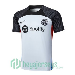 FC Barcelona Training T Shirt Gray 2023/2024