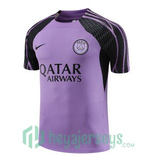 Paris PSG Training T Shirt Purple 2023/2024