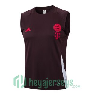 Soccer Vest Bayern Munich Marron 2024/2025