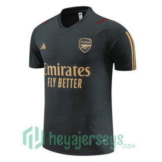 Arsenal Training T-Shirts Gray 2023/2024