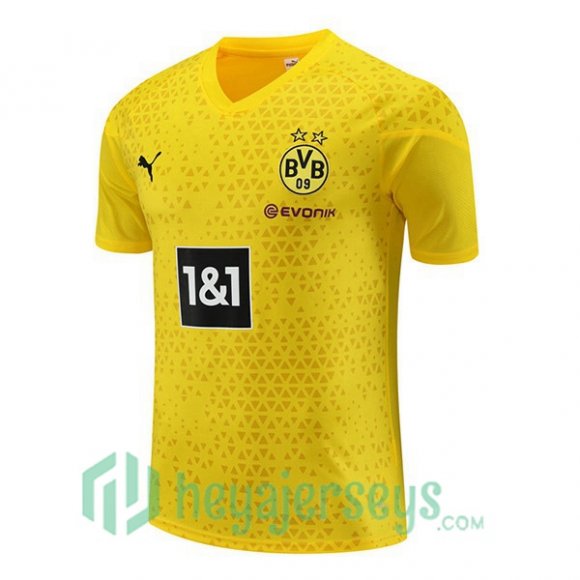 Dortmund BVB Training T-Shirts Yellow 2023/2024