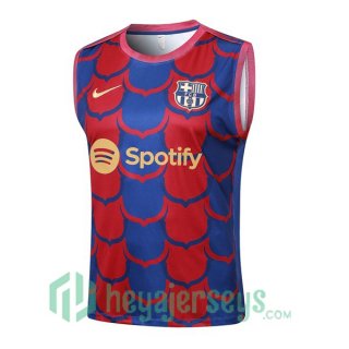 Soccer Vest FC Barcelona Red Blue 2024/2025