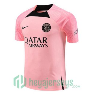 Paris PSG Training T-Shirts Rose 2023/2024