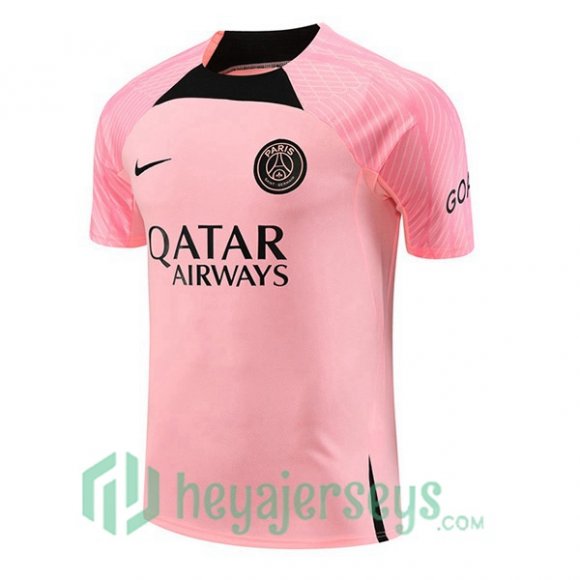Paris PSG Training T-Shirts Rose 2023/2024