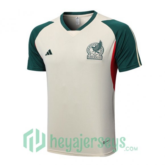 Mexico Training T Shirt Brown 2023/2024