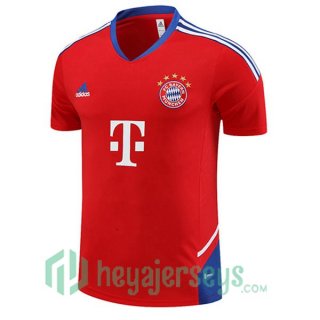 Bayern Munich Training T Shirt Red 2023/2024