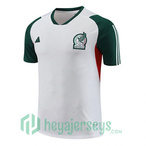 Mexico Training T Shirt White 2023/2024