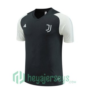 Juventus Training T Shirt Grey 2023/2024