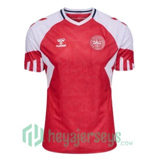 Denmark Soccer Jersey Home Red 2023/2024