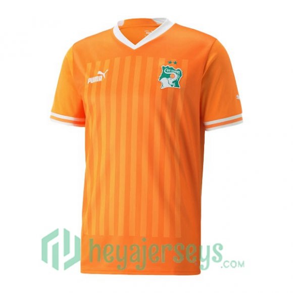 Ivory Coast Home Jersey Yellow 2023/2023