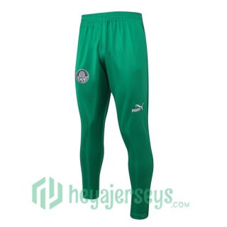 Palmeiras Training Pants Green 2023/2024