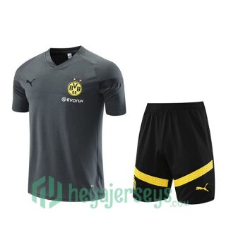 Borussia Dortmund Training T Shirt + Shorts Grey 2023/2024