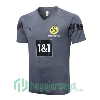 Borussia Dortmund Training T Shirt Grey 2023/2024