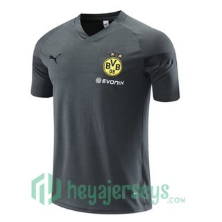 Borussia Dortmund Training T Shirt Grey 2023/2024