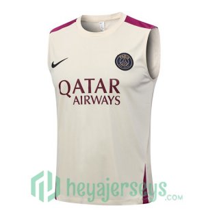 FC Barcelona Soccer Vest Brown 2023/2024