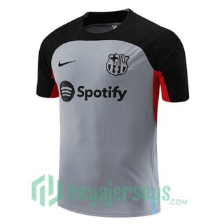 FC Barcelona Training T Shirt Grey 2023/2024