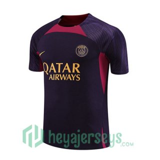 Paris PSG Training T Shirt Purple 2023/2024