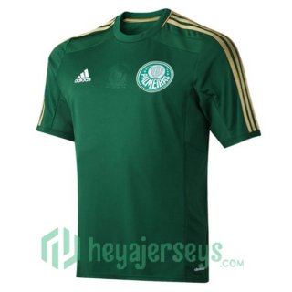 Palmeiras Retro Home Soccer Jerseys Green 2014-2015